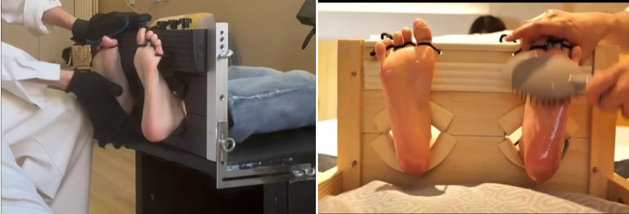 第六期1月21日预览